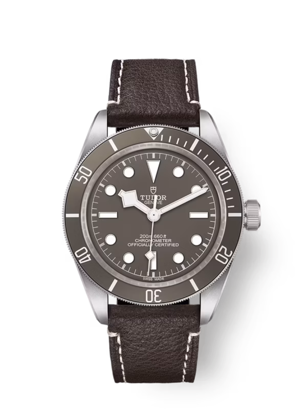TUDOR Black Bay 58 925 39 mm silver case, Brown leather bracelet